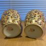 2 Large Ceramic Vases (pair) Image 3