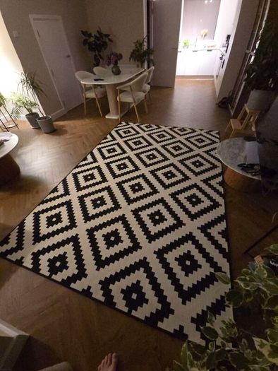 Ikea Rug