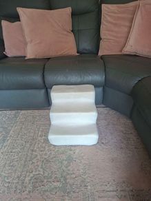 Pet steps