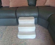 Pet steps