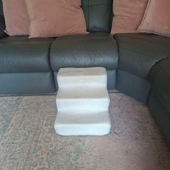 Pet steps