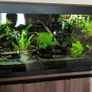 aquarium Image 3