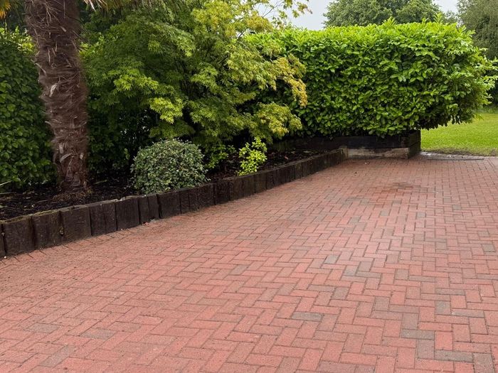 Paving Bricks