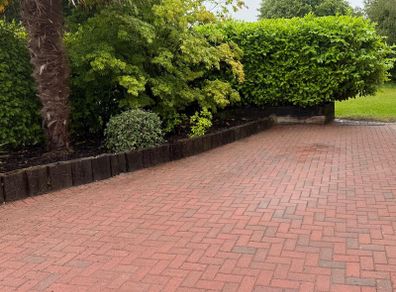 Paving Bricks