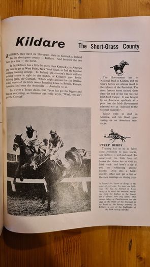 1966 See Ireland Adevrtising Tourist Book. The Scenic, Cultural And History. First Edition. Large Volume Book In Very Good Condition.
