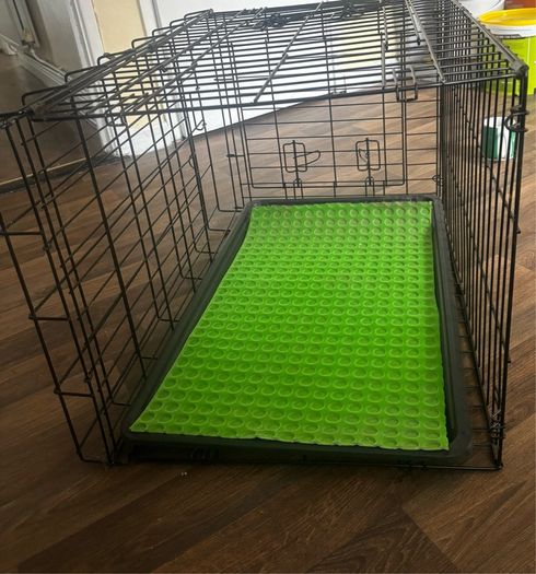 dog cage