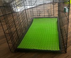 dog cage