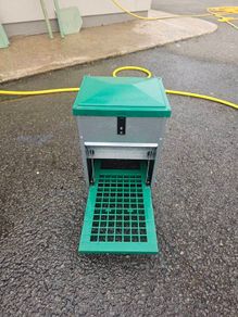Feed-O-Matic chicken feeder