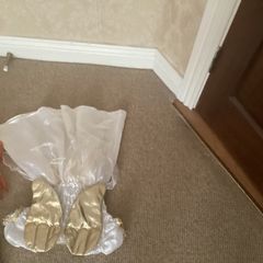 Angel costume
