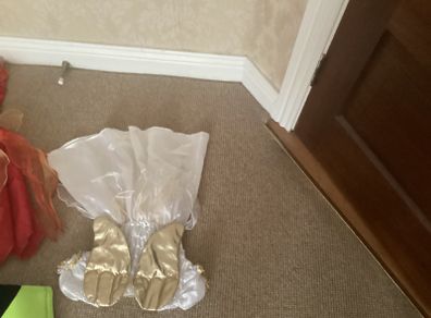 Angel costume