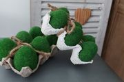 Beautiful Home Decor (eggs)- New!