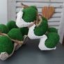 Spring Moss Eggs In Crate -new Decoration! Image 8