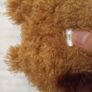 Little Reindeer Jellycat Image 5