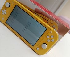 Nintendo switch lite