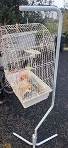 Budgie cage