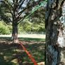 Tightrope - Trailblaze Slackline Kit 18.3 m with Training Line for Kids & Adults Image 6