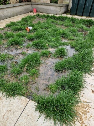 Artificial Grass Lawns in the South East
