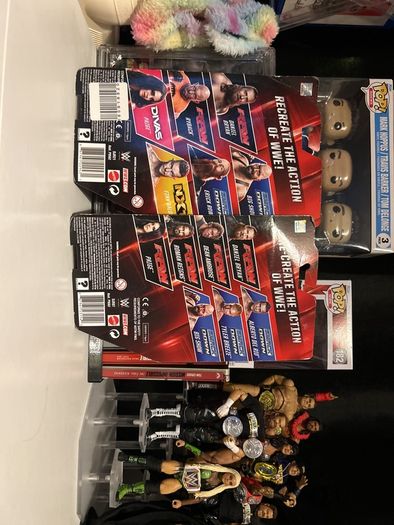 Paige boxed basic wwe figures