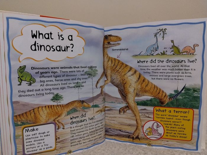 My First Question And Answer Educational Book