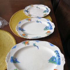 Porcelain Meakin. "Harmony"