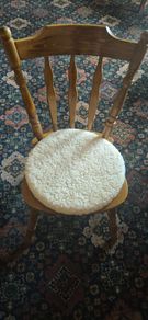 Swivel Cushion for home or car