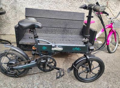 Fiddo D2s