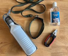 Dog kit accessories