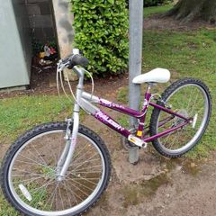 Raleigh girls bike
