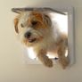 Cat Dog flap for wall or door with Tunnel Image 3