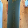 Cube Hyde Pro M54cm / Gates Carbon Drive MINT. Image 8