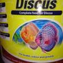 Tetra discus for discus, mid-water, bottom-feeding fish Image 2