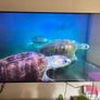 LG 65" UR78 Smart TV (2023 Model)  Excellent Condition Image 6