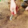 Chicken Wire Mesh Roll, Galvanized Hexagonal Wire Mesh Fencing, Wire Poultry Netting, 1m x 25m, Hole Size: 25mm, Silver (FREE POSTAGE) Image 4