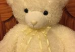 Teddy Bear Plush Toy White