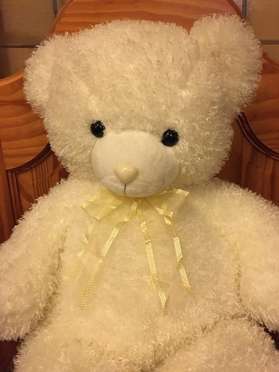 Teddy Bear Plush Toy White