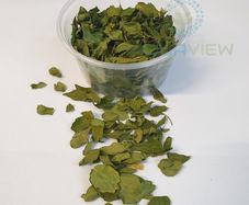 Moringa leaves 80ml - 5 cups