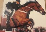 Showjumping Legends : Ireland, 1868-1998