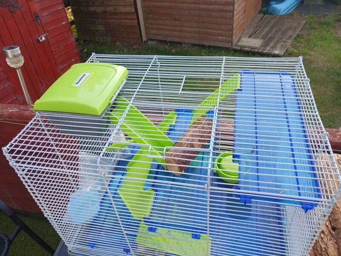 pet cages