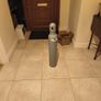 5 kg Aquarium CO2 bottle and regulator set up Image 2