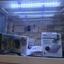 Fish tank & accessories Image 3
