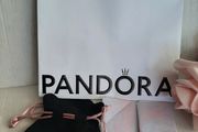 pandora pouch and bag
