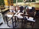 Upholstery Services Image 4
