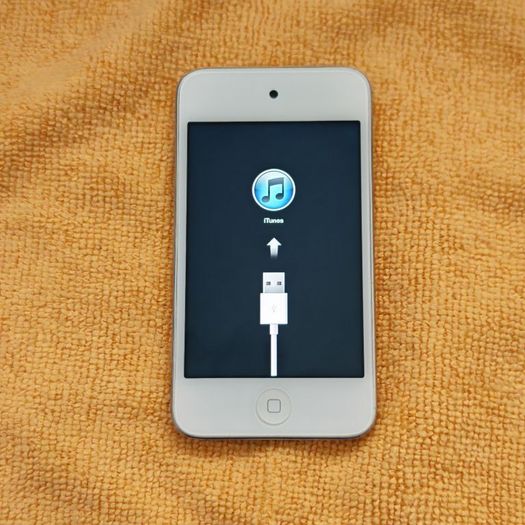iPod Touch 4th Generation - Semi-functional