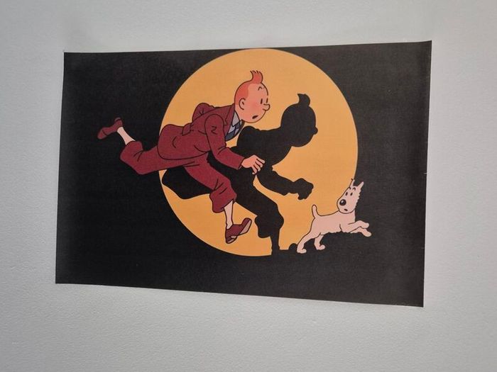 Tin Tin Canvas Poster