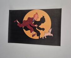 Tin Tin Canvas Poster