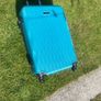 Suitcases Large Paul Costello Image 6