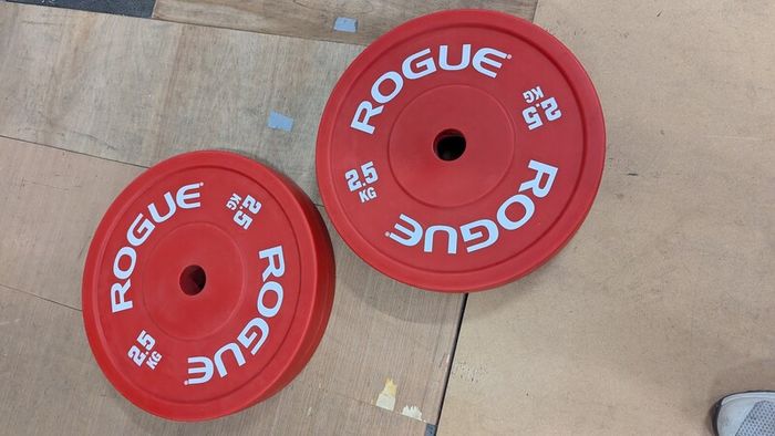 Rogue 2.5kg Bumper plates