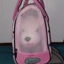 Toy dog  in a bag Image 2
