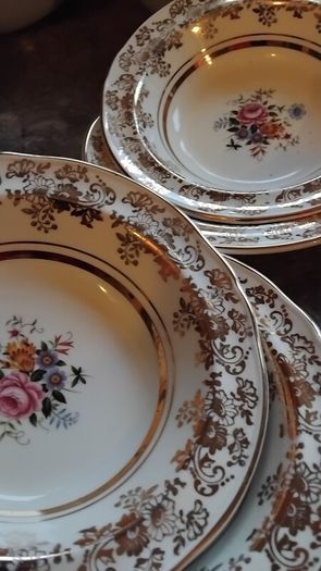 Alfred Meakin Jerome Hand Painted