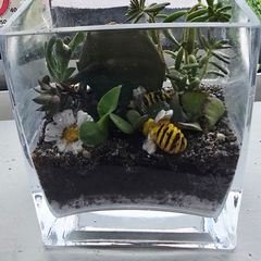 Indoor